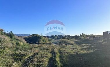 Terreno  1/2 h. Arauco - Cruze carampangue