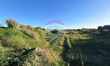 Terreno  1/2 h. Arauco - Cruze carampangue