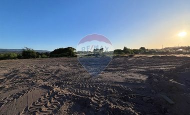 Terreno  1/2 h. Arauco - Cruze carampangue