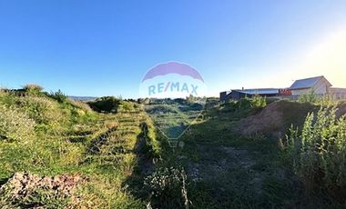 Terreno  1/2 h. Arauco - Cruze carampangue