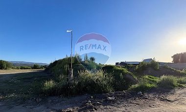 Terreno  1/2 h. Arauco - Cruze carampangue