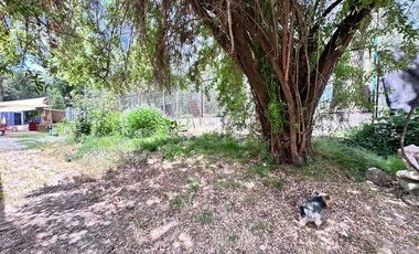 Propiedad Comercial en Venta en Curicó, Maule