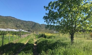 Parcela de Agrado 5.000 m² en La Patagua