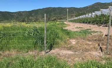 Parcela de Agrado 5.000 m² en La Patagua