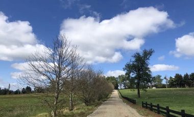 PARECELA A 15 MINUTOS DE OSORNO