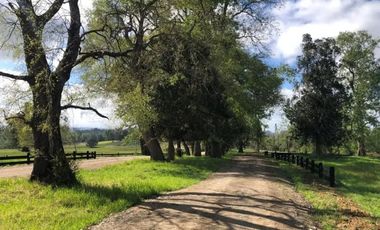 PARECELA A 15 MINUTOS DE OSORNO