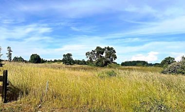 PARECELA A 15 MINUTOS DE OSORNO