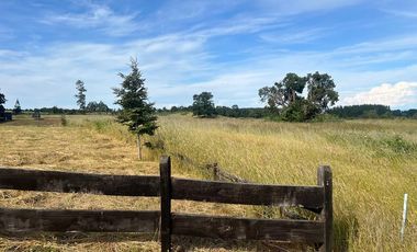 PARECELA A 15 MINUTOS DE OSORNO