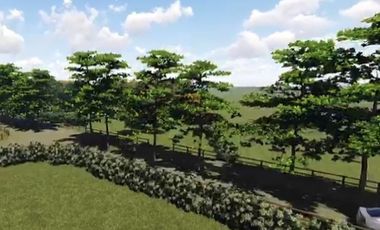 PARECELA A 15 MINUTOS DE OSORNO