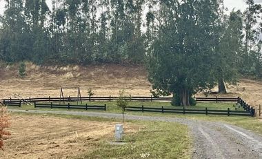 PARECELA A 15 MINUTOS DE OSORNO