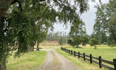 PARECELA A 15 MINUTOS DE OSORNO