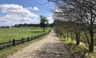 PARECELA A 15 MINUTOS DE OSORNO