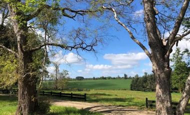 PARECELA A 15 MINUTOS DE OSORNO