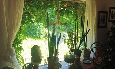 Parcela con Casa piscina y jardín en Melipilla