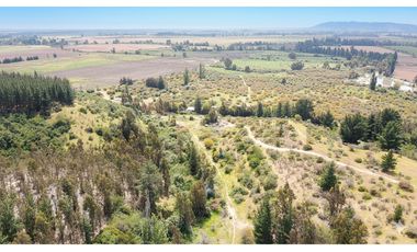 ¡Terreno agrícola 93 ha en Pumanque, Chile!