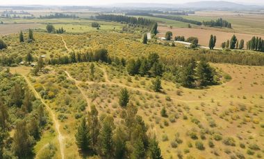 ¡Terreno agrícola 93 ha en Pumanque, Chile!