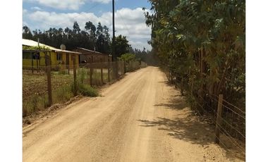 ¡Terreno agrícola 93 ha en Pumanque, Chile!
