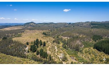 ¡Terreno agrícola 93 ha en Pumanque, Chile!