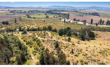 ¡Terreno agrícola 93 ha en Pumanque, Chile!