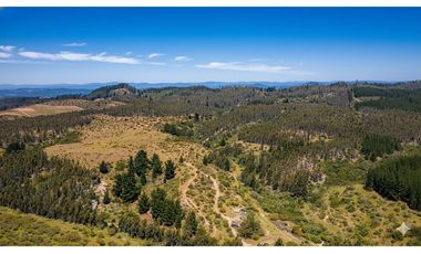 ¡Terreno agrícola 93 ha en Pumanque, Chile!