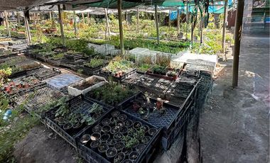 Terreno en Venta Cercano a Nueva Estación de Metro