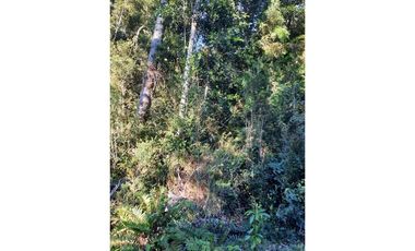 OPORTUNIDAD DE INVERSION