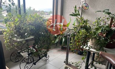 Departamento en Venta en Holandesa