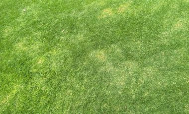 Casa en Venta ubicada en Club de Golf Bellavista Cod. BV689