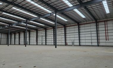 Depósito 12.000m2 a Estrenar.