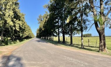 Venta Terreno Haras de Funes Club de Campo