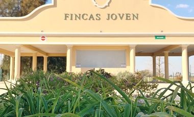 Terreno en Barrio Fincas Joven, San Vicente