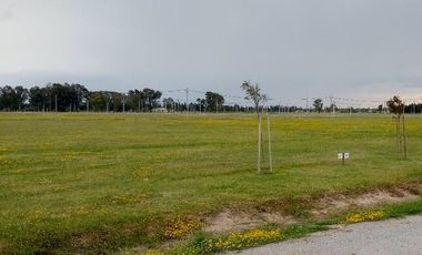 Terreno en Barrio Fincas Joven, San Vicente