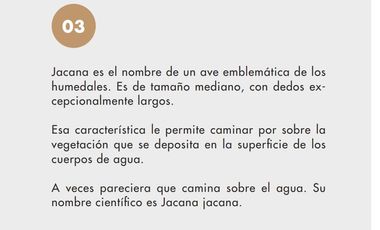 Departamento en  venta