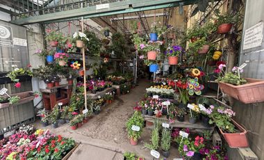 Ideal Inversor para desarrollo con 866 mts2 sobre Paseo Comercial Las Flores  - Wilde