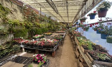 Ideal Inversor para desarrollo con 866 mts2 sobre Paseo Comercial Las Flores  - Wilde