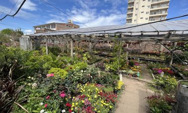 Ideal Inversor para desarrollo con 866 mts2 sobre Paseo Comercial Las Flores  - Wilde