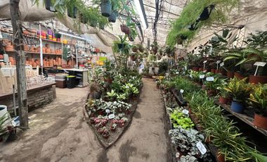 Ideal Inversor para desarrollo con 866 mts2 sobre Paseo Comercial Las Flores  - Wilde