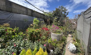 Ideal Inversor para desarrollo con 866 mts2 sobre Paseo Comercial Las Flores  - Wilde