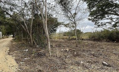 TERRENO EN VENTA EN CARRETERA INTERNACIONAL