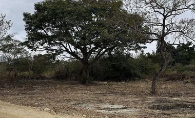TERRENO EN VENTA EN CARRETERA INTERNACIONAL