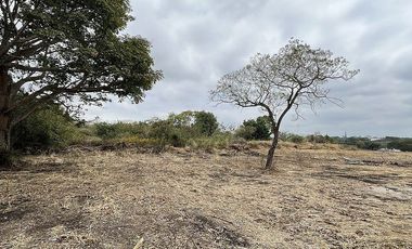 TERRENO EN VENTA EN CARRETERA INTERNACIONAL