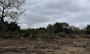 TERRENO EN VENTA EN CARRETERA INTERNACIONAL