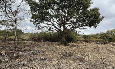 TERRENO EN VENTA EN CARRETERA INTERNACIONAL