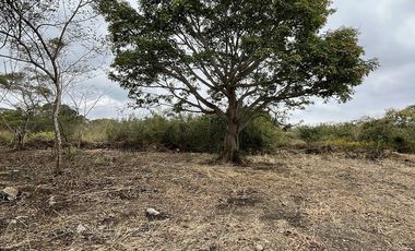 TERRENO EN VENTA EN CARRETERA INTERNACIONAL