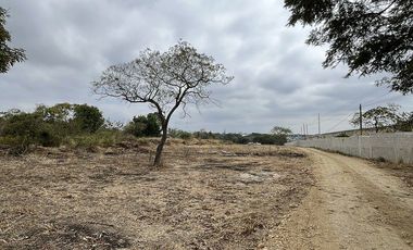 TERRENO EN VENTA EN CARRETERA INTERNACIONAL
