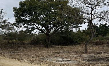 TERRENO EN VENTA EN CARRETERA INTERNACIONAL