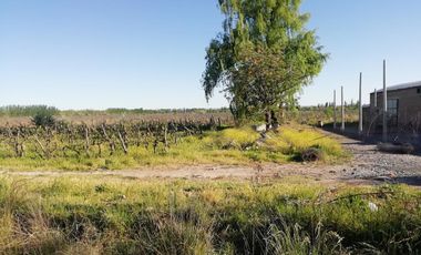 Chacra - Venta - Excelente ubicación - General Roca - R006