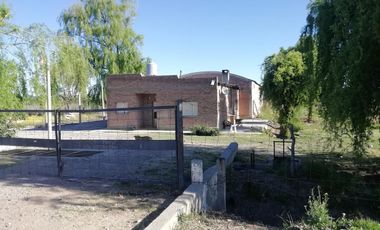 Chacra - Venta - Excelente ubicación - General Roca - R006