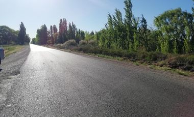 Chacra - Venta - Excelente ubicación - General Roca - R006