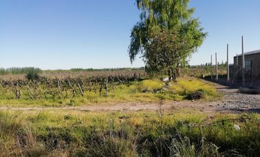 Chacra - Venta - Excelente ubicación - General Roca - R006